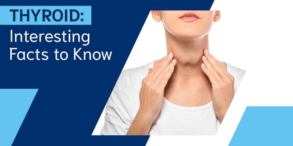 Thyroid disease symptoms and treatment